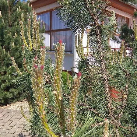 Nadas Panzio Guest house Tiszafured