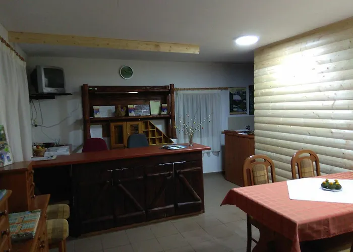 Nadas Panzio 4*