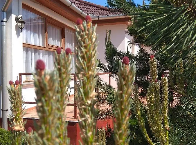 Vendégház Nádas Panzió